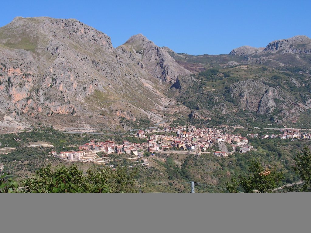Alcaralifusi