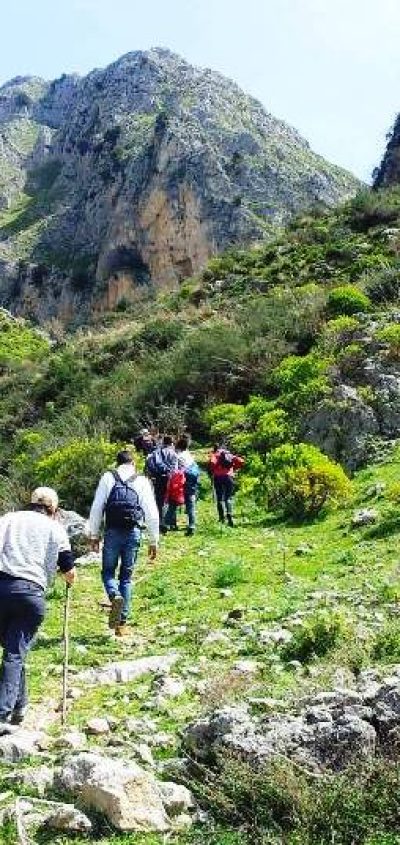 Alcaralifusi (1)